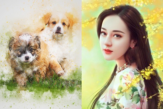 Xem tử vi năm 2019: Tình duyên của 12 con giáp thuận lợi hay lận đận?