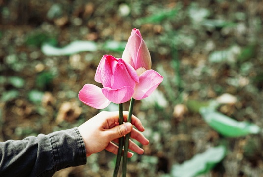 Con người vốn có định số, nhưng nhân đức lại có thể giúp tăng thêm tuổi thọ
