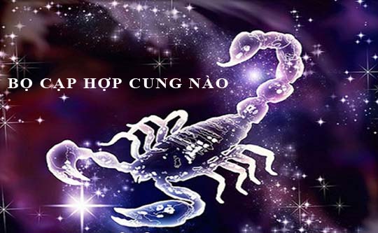 Cung Bọ Cạp hợp với cung nào nhất trong tình cảm, tình yêu
