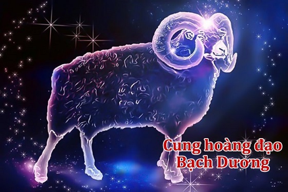 Cung Bạch Dương hợp với cung nào nhất trong tình cảm, tình yêu