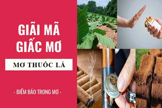 Giải mã giấc mơ: Nằm mơ thấy thuốc lá, xì gà điềm báo gì, lành hay dữ? con số liên quan