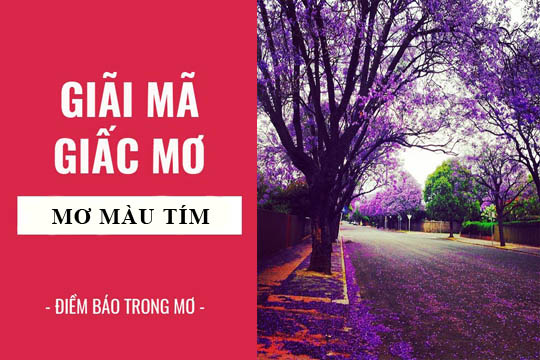 Giải mã giấc mơ: Nằm mơ thấy màu tím điềm báo gì, lành hay dữ? con số liên quan