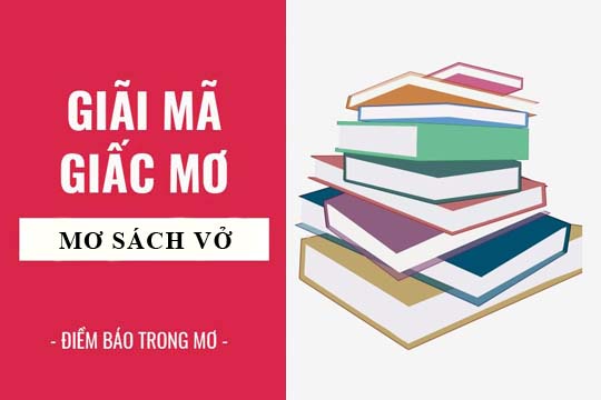 Giải mã giấc mơ: Nằm mơ thấy sách vở, sổ sách điềm báo gì, lành hay dữ? con số liên quan