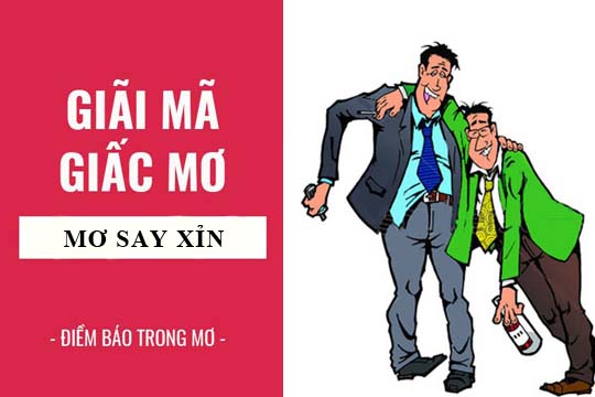 Giải mã giấc mơ: Nằm mơ thấy say rượu, say xỉn điềm báo gì, lành hay dữ? con số liên quan
