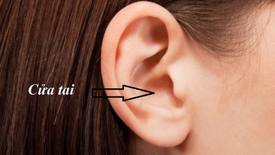 Hình dáng đôi tai hé lộ bạn là người cực kỳ có phúc khí