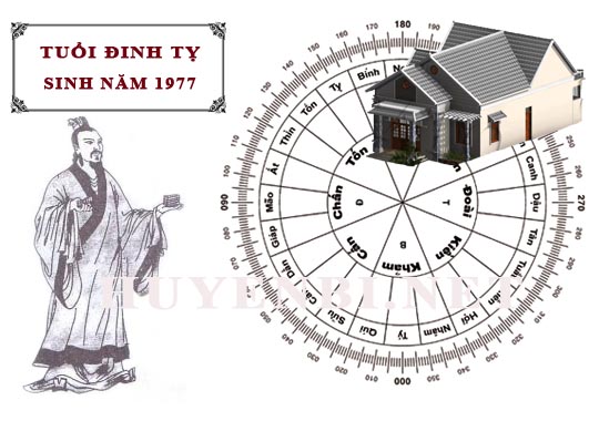 Tuổi Đinh Tỵ hợp với hướng nào, làm nhà hướng nào theo phong thuỷ