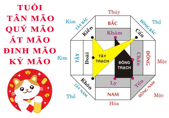 Tuổi Mão hợp hướng nào?