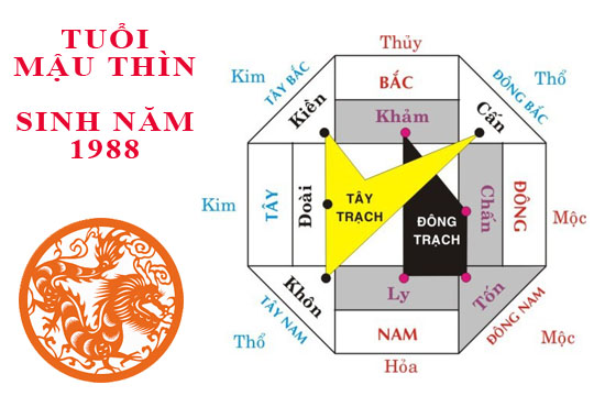 Sinh năm 1988 Mậu Thìn hợp hướng nào?