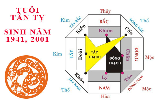 Sinh năm 2001 Tân Tỵ hợp hướng nào?