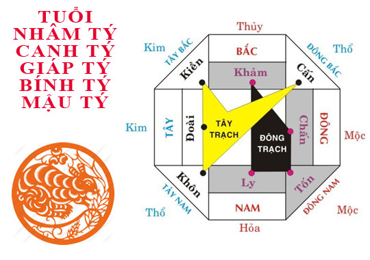 Tuổi tý hợp hướng nào?