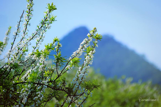 Khai tâm cho mùa xuân mới