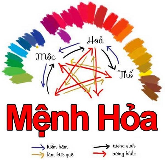 4 loại cây người mệnh Hỏa nên trồng trong nhà để tài lộc dồi dào, cả năm may mắn