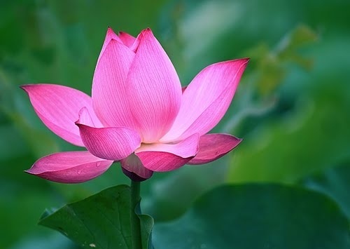 Hướng dẫn phong thủy xua đuổi tà khí trong nhà vào tháng cô hồn