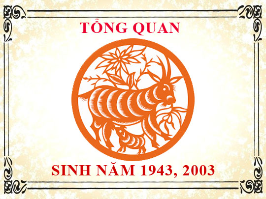 Sinh năm 2003 mệnh gì, tuổi gì và hợp màu gì?