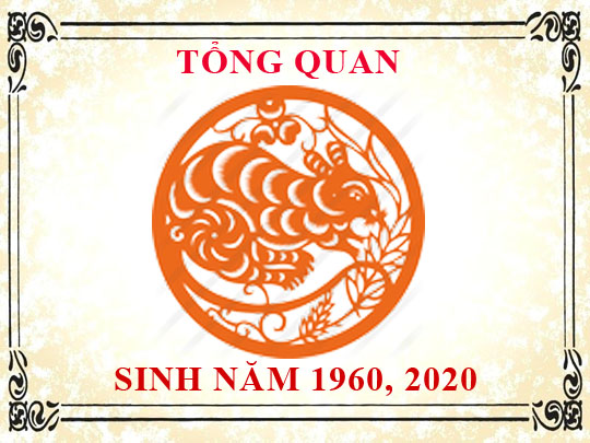 Sinh năm 2020 mệnh gì, tuổi gì và hợp màu gì?