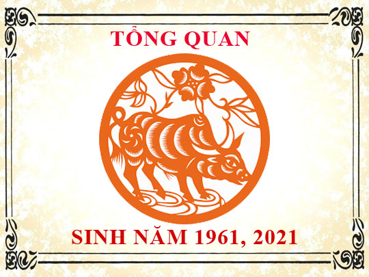 Sinh năm 1961 mệnh gì, tuổi gì và hợp màu gì?