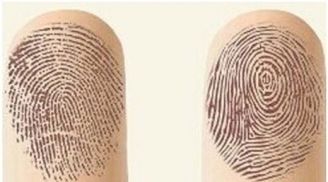 Chỉ cần biết số hoa tay, không cần đi xem bói cũng tự biết vận mệnh của mình