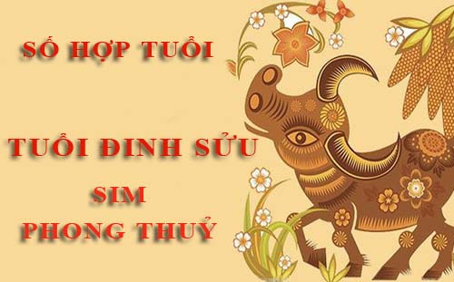 Tuổi Đinh Sửu hợp với số nào theo phong thuỷ, chọn sim phong thuỷ