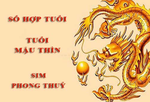 Tuổi Mậu Thìn hợp với số nào theo phong thuỷ, chọn sim phong thuỷ