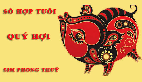 Tuổi Quý Hợi hợp với số nào theo phong thuỷ, chọn sim phong thuỷ