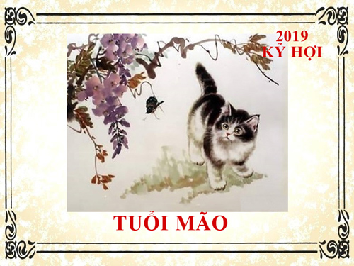 Xem tử vi tuổi Mão năm 2019: Hợi Mão Mùi tam hợp, vận quý nhân hưng thịnh