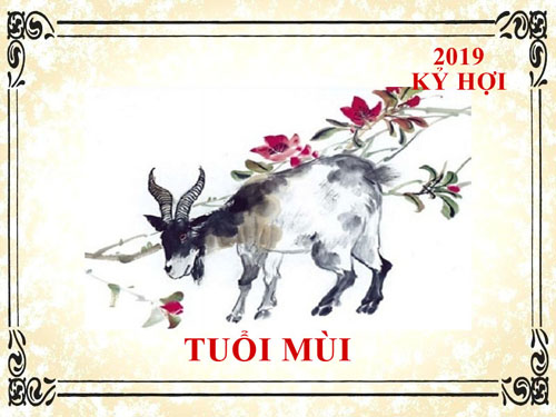 Xem tử vi tuổi Mùi năm 2019 Kỷ Hợi: Vận khí hanh thông, may mắn hơn người