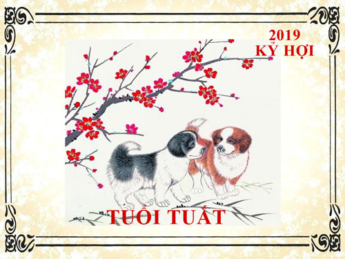 Xem tử vi tuổi Tuất năm 2019 Kỷ Hợi: Vận khí hanh thông, thành công sẽ đến