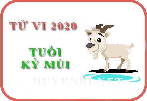 Tử vi tuổi Kỷ Mùi 1979 năm 2020: May mắn như sóng biển, có lên có xuống