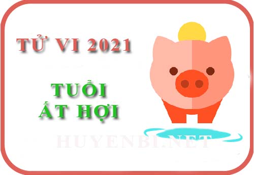 Luận tử vi năm 2021 tuổi Ất Hợi 1995 nam, nữ mệnh