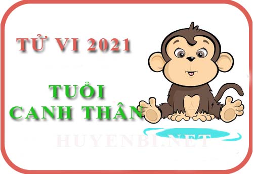 Luận tử vi năm 2021 tuổi Canh Thân 1980 nam, nữ mệnh