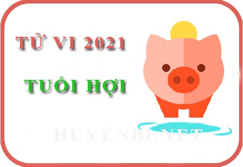 Luận giải Tử vi tuổi Hợi năm 2021 Tân Sửu cho nam, nữ mệnh: Tân Hợi, Quý Hợi, Ất Hợi, Đinh Hợi, Kỷ Hợi