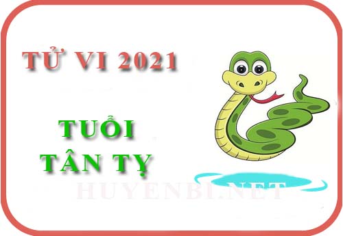 Luận tử vi năm 2021 tuổi Tân Tỵ 2001 nam, nữ mệnh