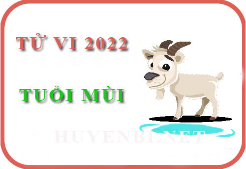 Luận giải chi tiết tử vi tuổi Mùi năm 2022 Nhâm Dần cho: Tân Mùi, Quý Mùi, Ất Mùi, Đinh Mùi, Kỷ Mùi