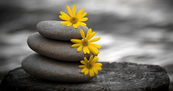 Tử vi tháng 5/2018 mới nhất của 4 con giáp Thân, Dậu, Tuất, Hợi
