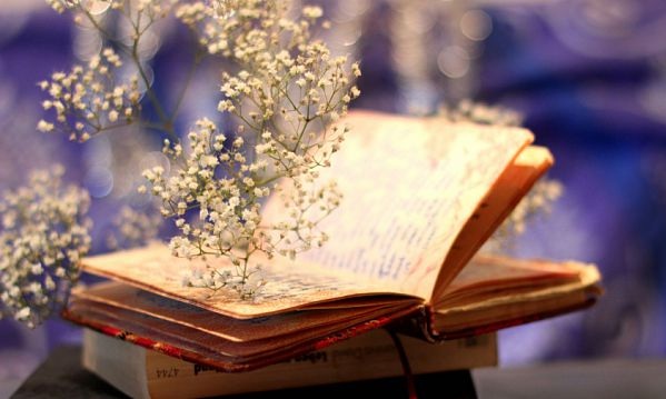 Tử vi thư Tư ngày 4/7/2018 của 12 cung Hoàng đạo hay nhất