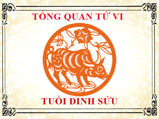 Tử vi tuổi Đinh Sửu 1997: Tổng quan về vận mệnh, tình yêu, sự nghiệp