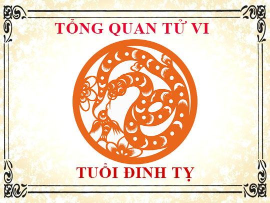 Tử vi tuổi Đinh Tỵ: Tổng quan về vận mệnh, tình yêu, sự nghiệp