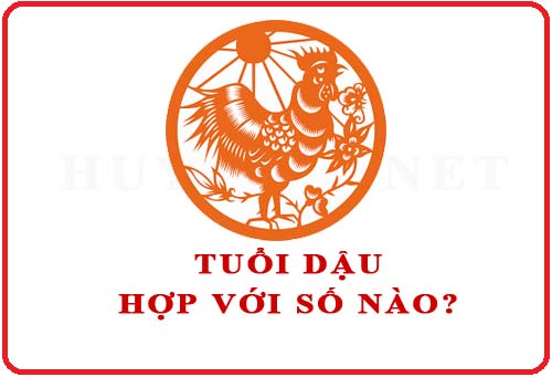 Tuổi Dậu hợp với số nào theo phong thuỷ