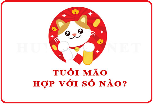 Tuổi Mão hợp với số nào theo phong thuỷ