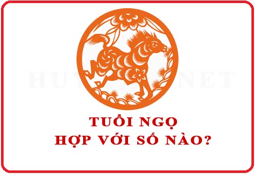 Tuổi Ngọ hợp với số nào theo phong thuỷ