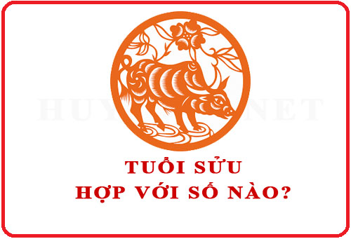 Tuổi Sửu hợp với số nào theo phong thuỷ