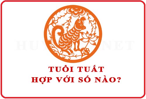 Tuổi Tuất hợp với số nào theo phong thuỷ