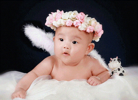 Tìm hiểu vận mệnh bé sinh năm 2019 Kỷ Hợi