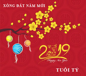 Xem tuổi xông nhà, xông đất năm 2019 tuổi Tý các tuổi: Canh Tý, Nhâm Tý, Giáp Tý, Bính Tý, Mậu Tý
