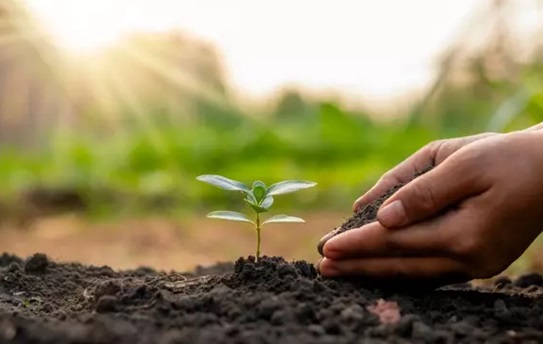 Cách khai vận may mắn cho tiết khí Lập Đông năm 2023 để 3 tháng cuối năm tài lộc rủng rỉnh