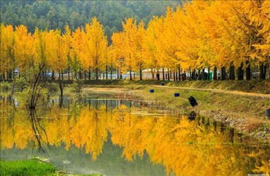 12 cung Hoàng đạo kỵ màu gì? Nên hạn chế sử dụng để luôn gặp may mắn