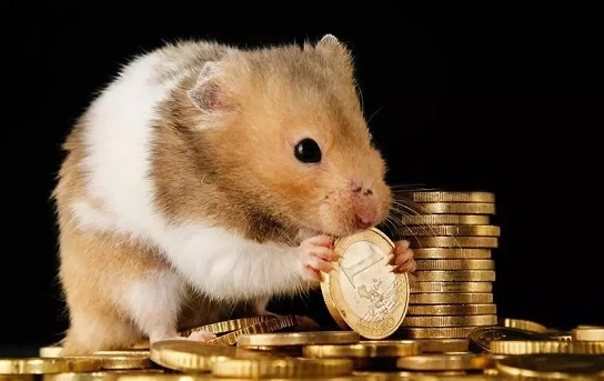 Những con giáp định mệnh dát vàng, đổi vận giàu sụ trong 2 năm tới