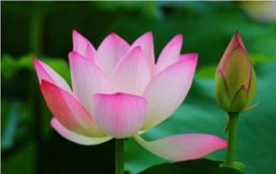 Những người có ngày sinh kết thúc bằng 4 số sau đây là số mệnh may mắn, an nhàn