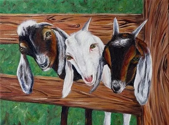 Sinh con gái thuộc 4 tuổi cha mẹ hưởng phúc lớn, thuận lợi may mắn