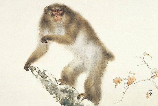Tử vi tháng 6/2023: Bốn con giáp tổ tiên nâng đỡ, tài lộc lên cao hơn Rồng